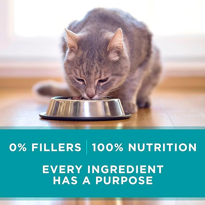 Purina ONE Natural, High Protein, Grain Free Wet Cat Food Pate, Beef Recipe - (Pack of 48) 3 oz. Pull-Top Cans