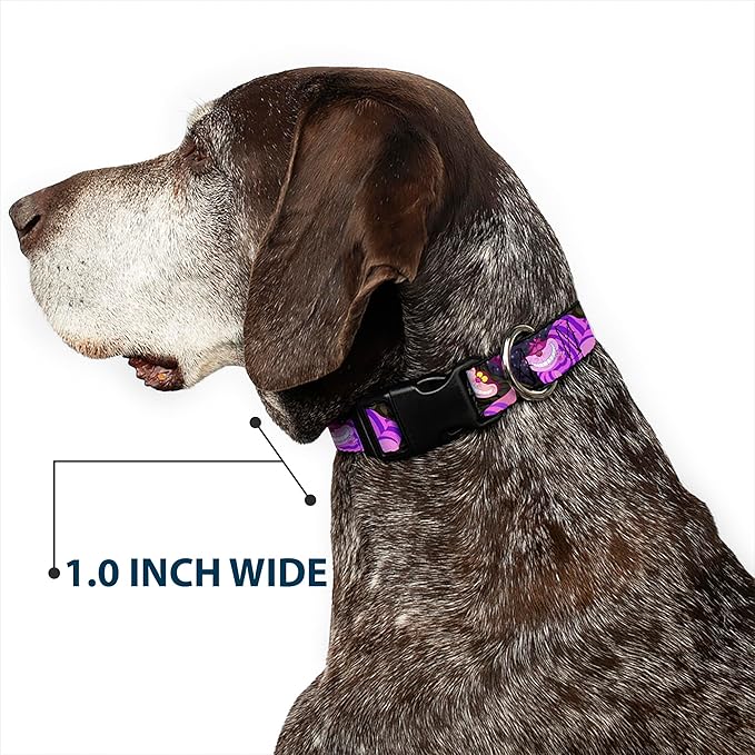 Buckle-Down Plastic Clip Collar - Cheshire Cat Tree Poses - 1/2" Wide - Fits 6-9" Neck - Small