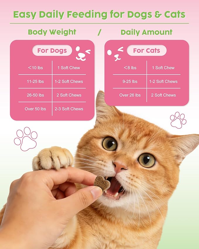 Probiotic Soft Chews for Dogs & Cats - 600M CFU Multi-Strain Probiotics, Prebiotics & Digestive Enzymes - Chicken Flavor Daily Gut Health Supplement - 60 Soft Chews (120g)