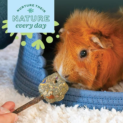 Oxbow Enriched Life Timbells, Rabbit Toys, Guinea Pig Toys, Enrichment for Bunny, Guinea Pig, Hamster, Rabbit, Chinchilla, Timothy Hay, Chinchilla Cage Accessories, Small Pet Accessories for Cage