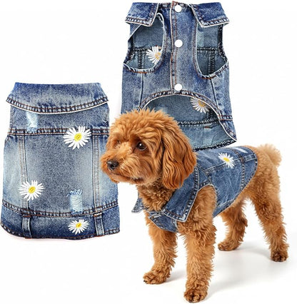 Pawstrip Dog Denim Jacket with Embroidered Daisy, Ripped Vintage Jean Vest for Small Dogs, Pugs, Chihuahuas, Spring Summer Fall Festival Outfit, XXL (Fits Chest 19-20.5", NOT for Large Dogs)