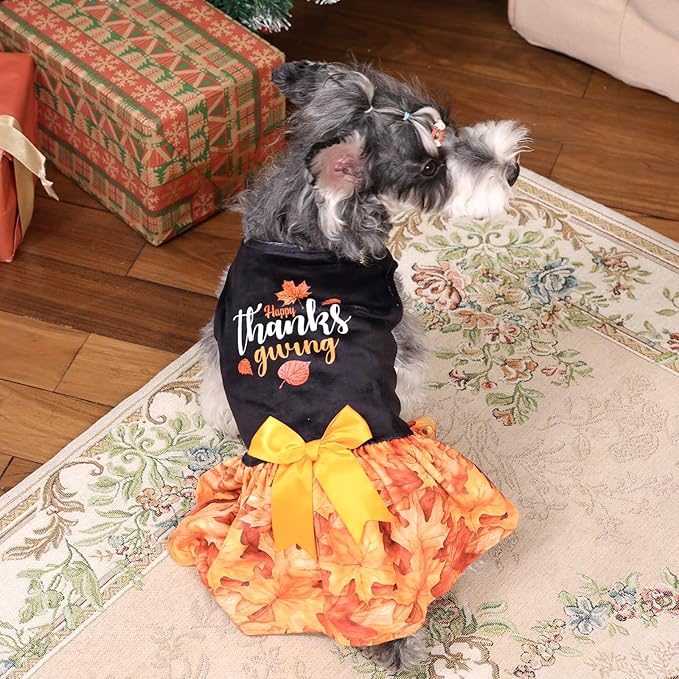CuteBone Thanksgiving Dog Fall Dresses Costume Velvet Holiday Small Dogs Clothes Onesie Pet Apparel Girl Puppy Skirt with Bow Hair Rope CVA52XXS-D