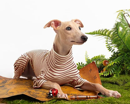 Dog Sweaters for Small Dogs Girls Boys, Striped Pet Sweaters for Fall Winter Dog Clothes, Turtleneck Pullover Knitwear for Small Medium Large Dogs