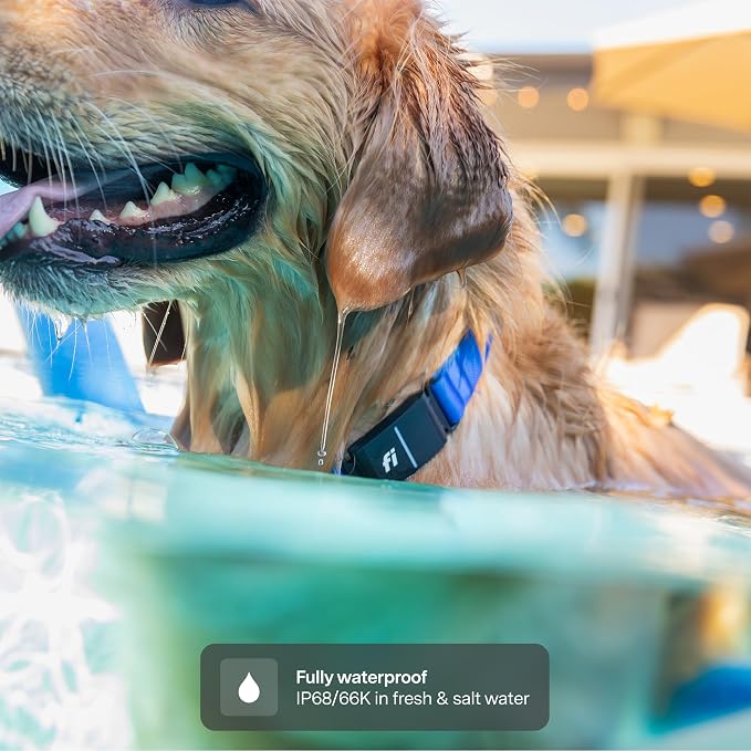 Fi Series 3+ GPS + Health Dog Collar, Yellow, X-Small, 12-Month Membership | Smart GPS dog collar with live tracking, health & behavior, Escape Alerts, LED light. Waterproof and Apple Watch compatible.