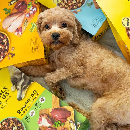 Raw Freeze Dried Dog Food RawMix50 Premium Cage-Free Chicken Recipe, Protein Rich, Includes Kibble, Non-GMO, No Wheat or Corn, 4 lbs
