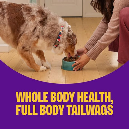 Wellness Complete Health+ Small Breed Adult Dry Dog Food with Freeze Dried Wellbites, Wholesome Grain Kibble+, Natural, Turkey and Oatmeal Recipe, 3.75 lb Bag
