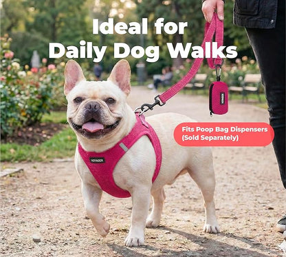 Best Pet Supplies Voyager Reflective Dog Leash or Collar with Neoprene Handle, for Small, Medium, and Large Breed Puppies, Cute and Heavy Duty for Walking, Running and Training - Fuchsia Leash, L