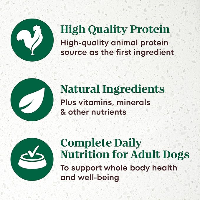 Nutro Ultra Wet Dog Food Grain Free Filets, Adult Dog Food Wet Recipe in Gravy Duck & Roasted Turkey Variety Pack, 3.5 oz. Trays (12 Count, Pack of 1)