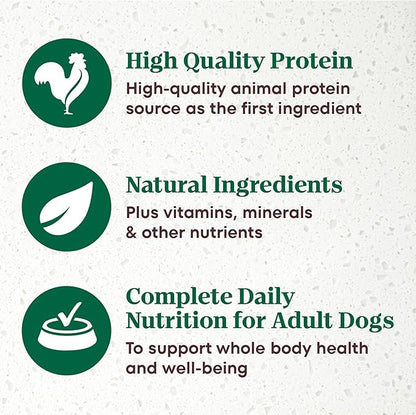 Nutro Ultra Wet Dog Food Grain Free Filets, Adult Dog Food Wet Recipe in Gravy Deluxe Chicken Entree, 3.5 oz. Trays (24 Count, Pack of 1)