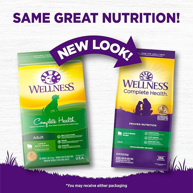 Wellness Complete Health Dry Dog Food with Grains, Made in USA with Real Meat & Natural Ingredients, All Breeds, Adult Dogs (Lamb & Barley, 30-lb) – With Nutrients for Immune, Skin, & Coat Support,