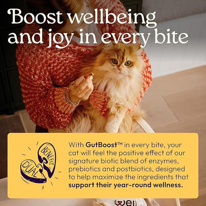 New! WellJoy Cat Supplement Immune+ GutBoost | Cat Health Supplement | with Lysine | Enhances Immune Response | Dual-Benefit Formula | Vet Formulated | Made in USA | Chicken Flavor | 90 Soft Chews