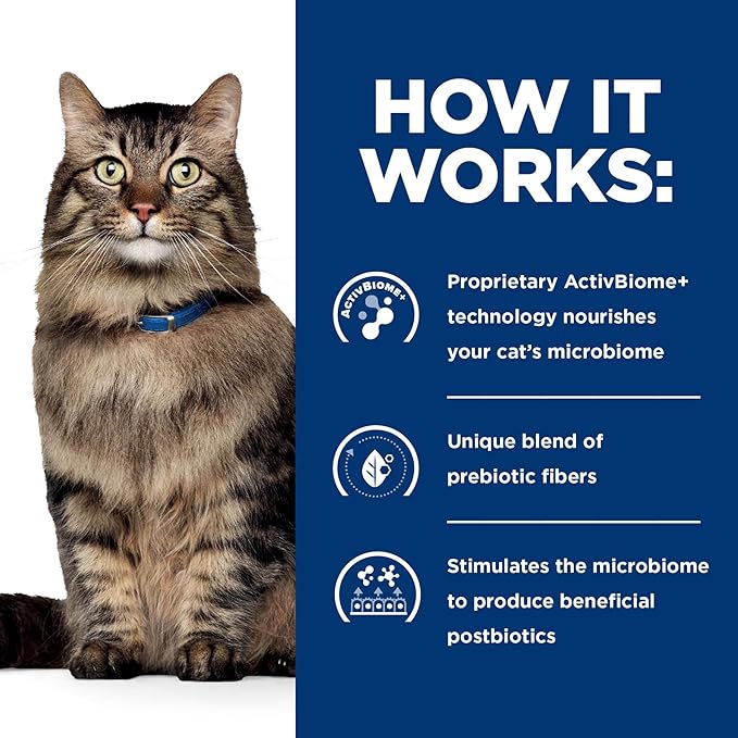 Hill's Prescription Diet Gastrointestinal Biome Stress Digestive/Fiber Care Dry Cat Food, Chicken, 4 lb. Bag