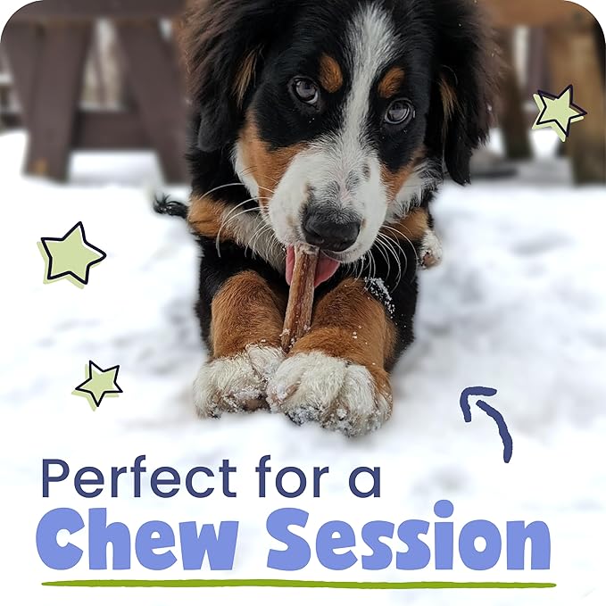 Pawstruck All-Natural 4" Bully Stick Rings for Dogs - Rawhide-Free, 100% Beef, Single Ingredient Dental Chew Bones - Fully Digestible, Low Odor - 10 Count - Packaging May Vary