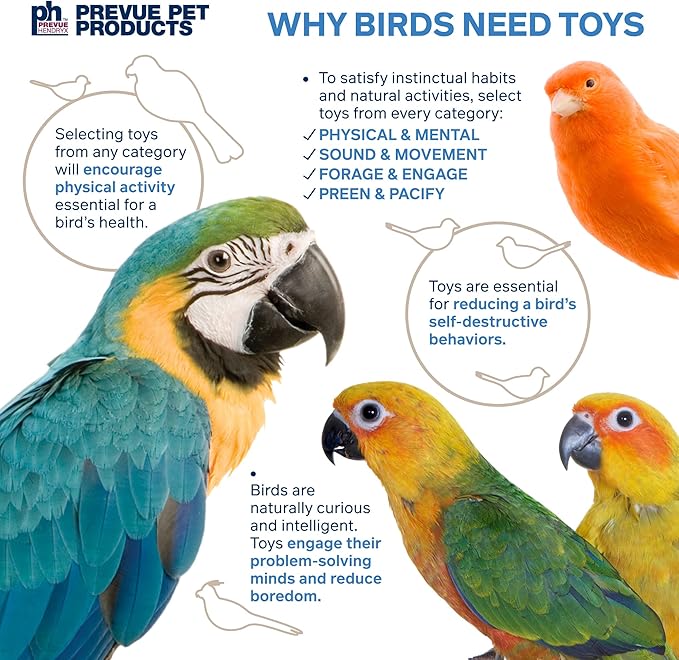 Prevue Pet Products Preen & Pacify Fancy Dance Bird Toy 62611