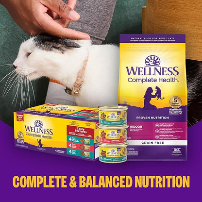 Wellness Complete Health Pate Variety Pack Adult Canned Wet Cat Food, Natural, Protein Rich, Grain Free, Seafood Favorites, 3 oz, Pack of 24 Cans