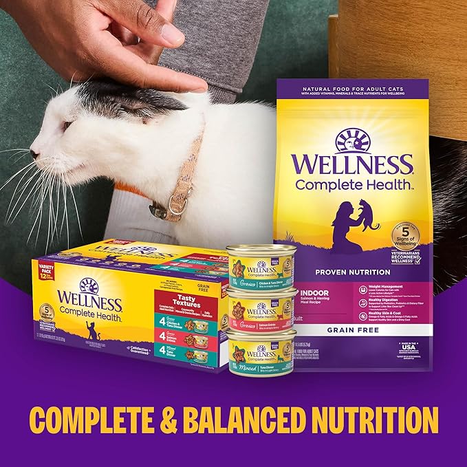 Wellness Complete Health Pate Variety Pack Adult Canned Wet Cat Food, Natural, Protein Rich, Grain Free, Chicken and Turkey Favorites, 3 oz, Pack of 12 Cans