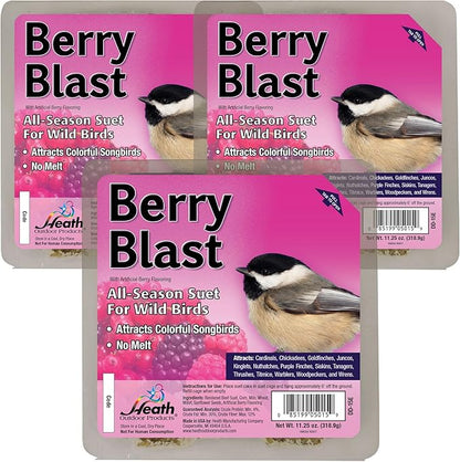 Heath Outdoor Products Berry Blast Suet Cakes Sample Pack, Contains 3 Suet Cakes, Try It, Your Birds Will Love it, for Woodpeckers, Cardinals, Siskins, Sparrows, Finchs & Many More Wild Bird Species