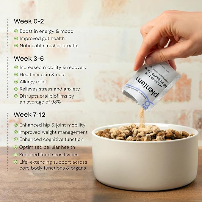 Daily Prebiotic + Postbiotic Dog Supplement Powder | 12-in-1 Support for Gut, Joints, Allergy, Immunity, Calming & Oral Health | Human-Grade Ingredients, No Artificial Flavors-No Fillers - 30 Sachets