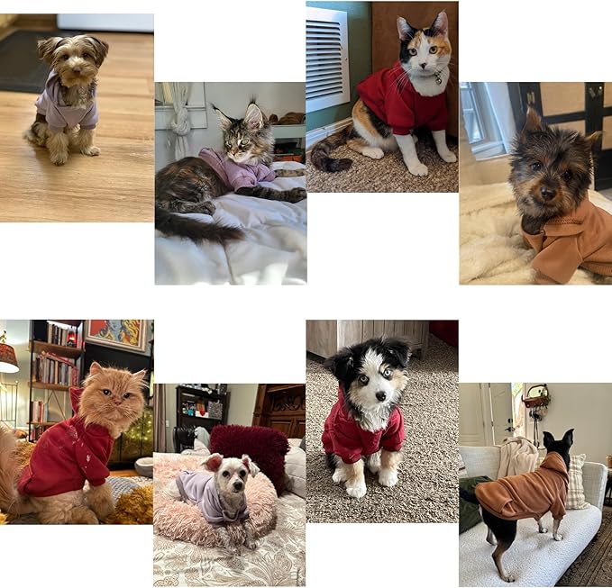 TAPBULL Dog Dresses, Fashionable Pet Dog Sweatshirt Clothes in Dark Colors, Cute Cat Birthday Dress Outfit (Red/Blue/Orange 3-Pack), Large