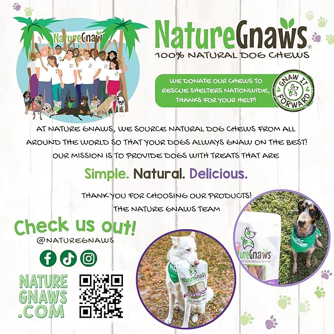 Nature Gnaws Large Bully Sticks for Dogs 5-6" (3 Count) - Thick Long Lasting for Aggressive Chewers and Large Dogs - Natural Beef Dog Chew Bones