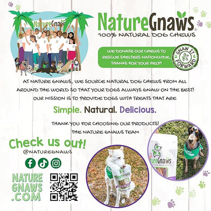 Nature Gnaws Large Bully Sticks for Dogs 5-6" (3 Count) - Thick Long Lasting for Aggressive Chewers and Large Dogs - Natural Beef Dog Chew Bones