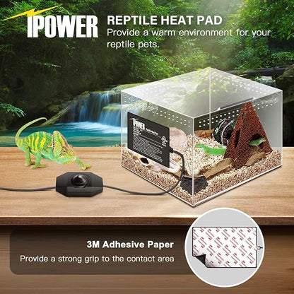 IPOWER reptile heat pad with a terrarium setup and chameleon on a wooden surface.