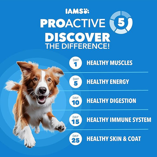 IAMS Proactive Health, Dry Dog Food, Adult Dog Food Dry Recipe for Healthy Weight, with Chicken, 29.1 Lb. Bag