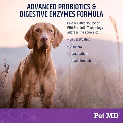 Pet MD Probiotics & Enzymes for Dogs - Gut Health Chews with Prebiotics - Digestive Aid for Dogs with Upset Stomach, Diarrhea, Constipation, or Gas - Functional Probiotics for Canines - 60 ct
