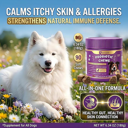 Probiotics for Dogs - 800M CFU Dog Probiotic Chews with Digestive Enzymes & Pumpkin | Seasonal Allergy, Itchy Skin & Immune Support for All Breeds - 90 Soft Chews, Chicken Flavor