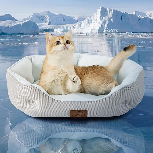 Bedsure Cooling Dog Beds for Small Dogs - Round Cat Beds for Indoor Cats, Washable Pet Bed for Puppy and Kitten with Slip-Resistant Bottom, 20 Inches, Arctic Blue
