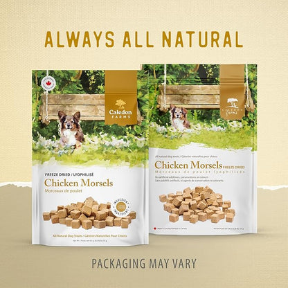 Caledon Farms Chicken Morsels Dog Treats: 125G/4.4OZ