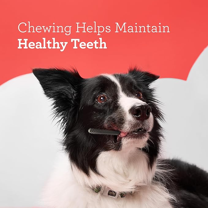 DreamBone Triple Action Dental Sticks Charcoal, 18 Count, Rawhide-Free Chews for Small and Medium Sized Dogs Freshens Breath (Pack of 2)