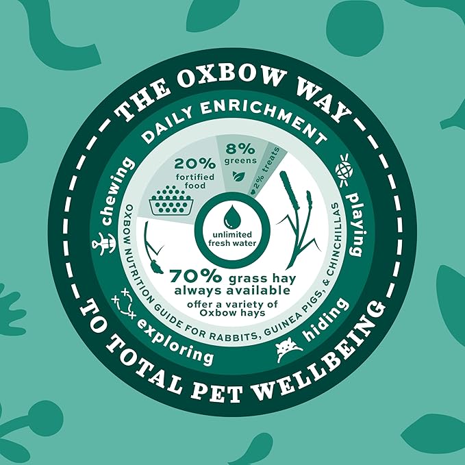 Oxbow Orchard Grass Hay for Small Pets – All-Natural Long Strand Fiber Hay for Rabbits,Guinea Pigs,Chinchillas,and Hamsters – Supports Digestive Health and Enrichment-– 40 oz Bag,(Pack of 2)