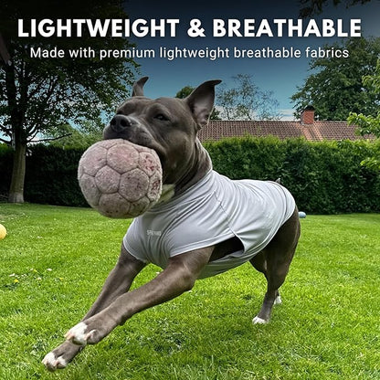 Spark Paws Sunblock Dog T-Shirt, SPF30 Protection, Lightweight Breathable Quick Dry for Dogs with Sensitive Skin - Blue & Grey (Set of 2) - S