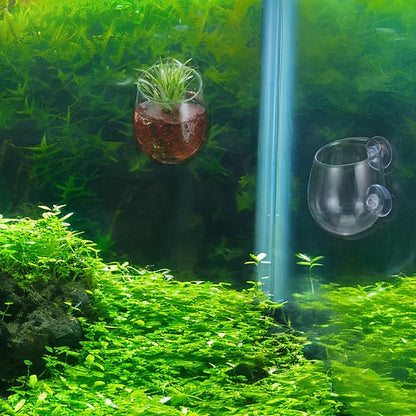 Toddmomy Aquarium Plant Holder 2 Pack with 4 Suction Cups Clear Aquatic Plant Pots for Fish Tank Decoration Betta Resting Spot and Aquascaping Accessory