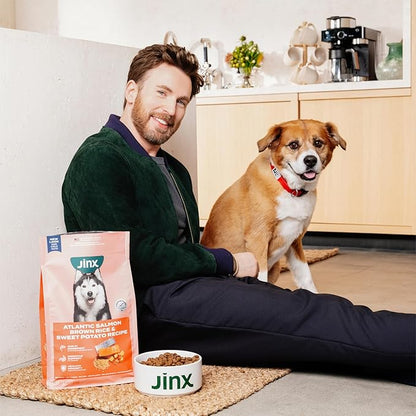 Jinx Premium Grain-Free Dry Dog Food, for All Lifestages - Real Salmon, Sweet Potato & Carrot Puppy Kibble with Superfoods for Immune Support & Probiotics for Digestive Support - No Fillers - 4lb