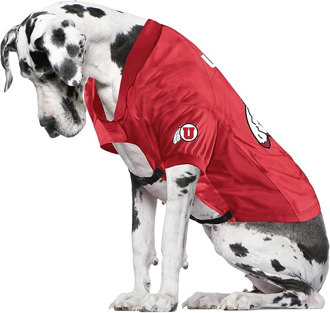 Littlearth NCAA Stretch Pet Jersey for Big Dogs