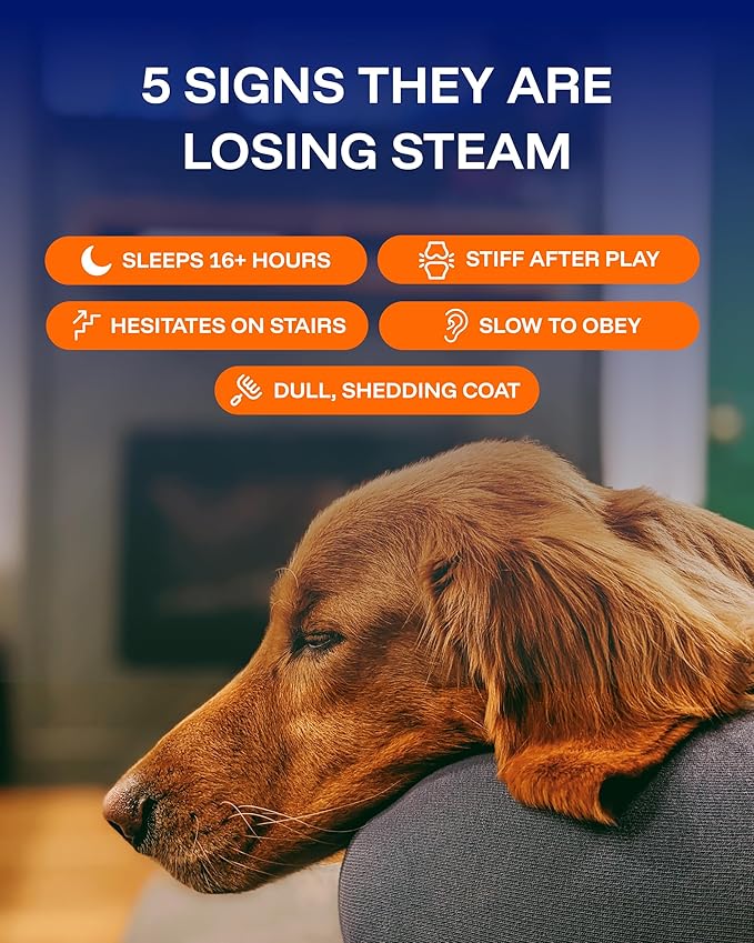 Dog Longevity Supplement NAD+ & NMN - Joint Health, Vitality & Healthy Aging - Nano liposomal Technology - Easy to Give Every Day - Better Absorption - Resveratrol - CoQ10