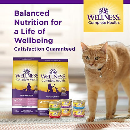 Wellness Complete Health Adult Dry Cat Food for Indoor Cats, Natural, Wholesome Grains Kibble, Chicken Recipe, 5 lb Bag
