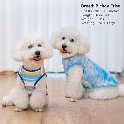 cyeollo 2pack Dog Cooling Shirt, Breathable Sleeveless Summer Clothes for Dogs, Intant Cool Dog T Shirts for Small Dogs, Blue Sky XL