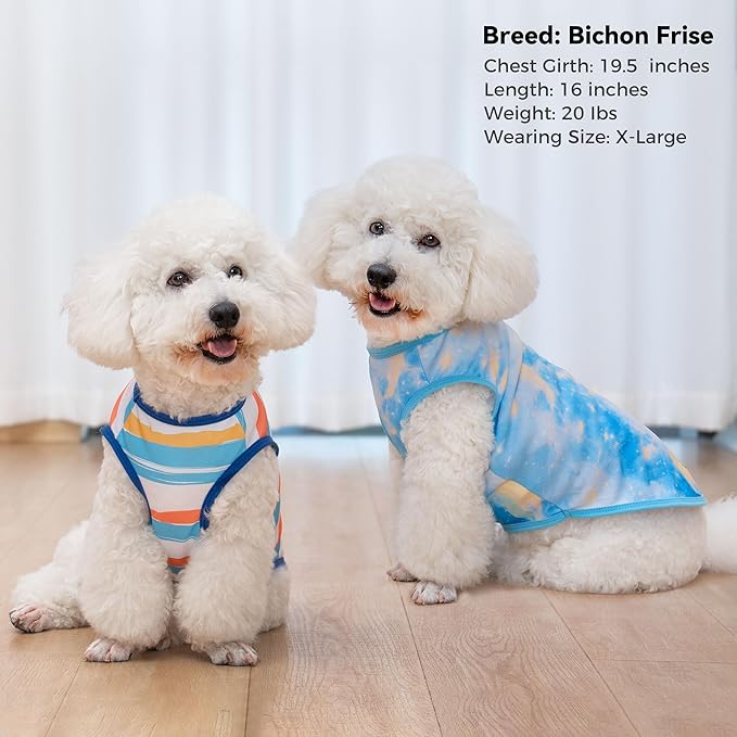cyeollo 2pack Dog Cooling Shirt, Breathable Sleeveless Summer Clothes for Dogs, Intant Cool Dog T Shirts for Small Dogs, Blue Sky M