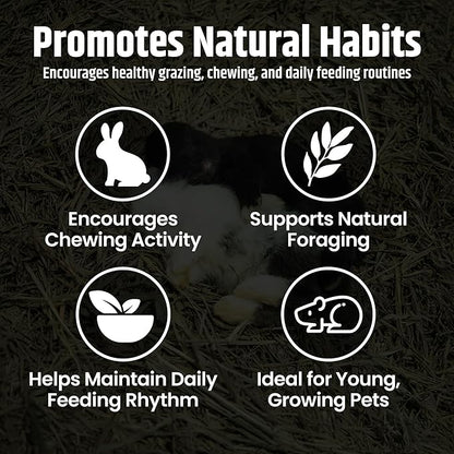High Desert Alfalfa Hay, Protein Rich Soft Leaf Food for Young Growing Animals, Natural Rabbit Food and Guinea Pig Hay, Supports Digestive Health, Small Pet Supplies, Fresh Hand, Pack of 2, 10 Lb Box