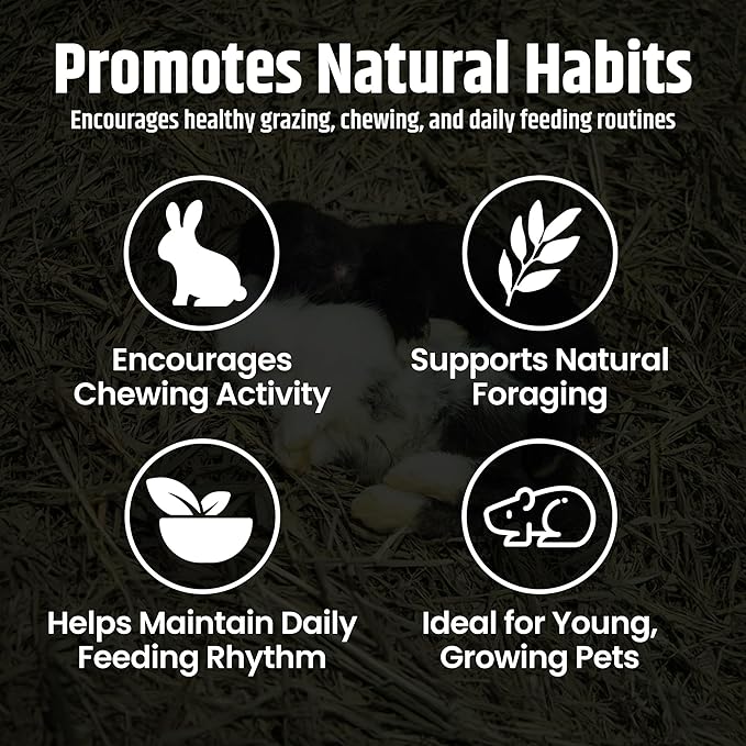 High Desert Alfalfa Hay, Protein Rich Soft Leaf Food for Young Growing Animals, Natural Rabbit Food and Guinea Pig Hay, Supports Digestive Health, Small Pet Supplies, Fresh Hand Packed 10 Lb Box