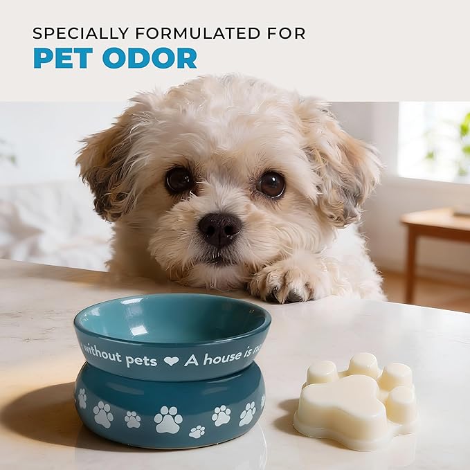 Pet House Sunwashed Cotton Wax Melts - Long-Lasting Plant Based Fresh Linen Scented Wax Melts Pet Friendly Pack of 2