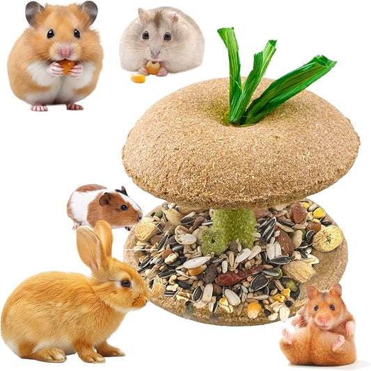 Hamster Chew Toys, Bunny Chew Bowl, Natural Chew Toys for Hamster, Rabbit, Guinea Pig, Chinchilla
