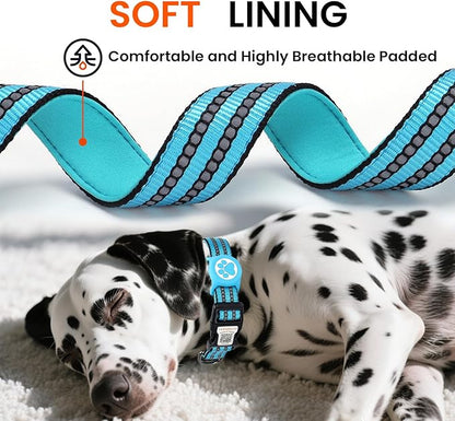 AirTag Dog Collar for Medium Dogs, IP68 Waterproof Air Tag Dog Collar with Apple AirTag Holder, Reflective, Padded Lining, QR Code Personalized Dog Tags(Blue, Medium)