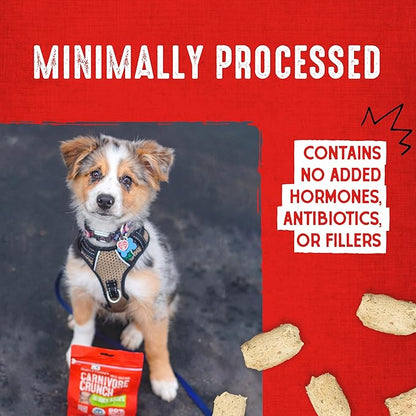 Stella & Chewy's Freeze-Dried Raw Dog Treats - Carnivore Crunch for Training - Natural Limited Ingredient, Grain-Free - Perfect for Picky Eaters - Chicken Recipe - 3.25 oz Bag