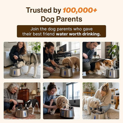 Selene Wireless Doggy Fountain, 4L (1.1 Gal) Cordless Dog Water Fountain for Dogs Inside, Stainless Steel Pet Fountain, 4-Layer Filtration, 30-Day Battery
