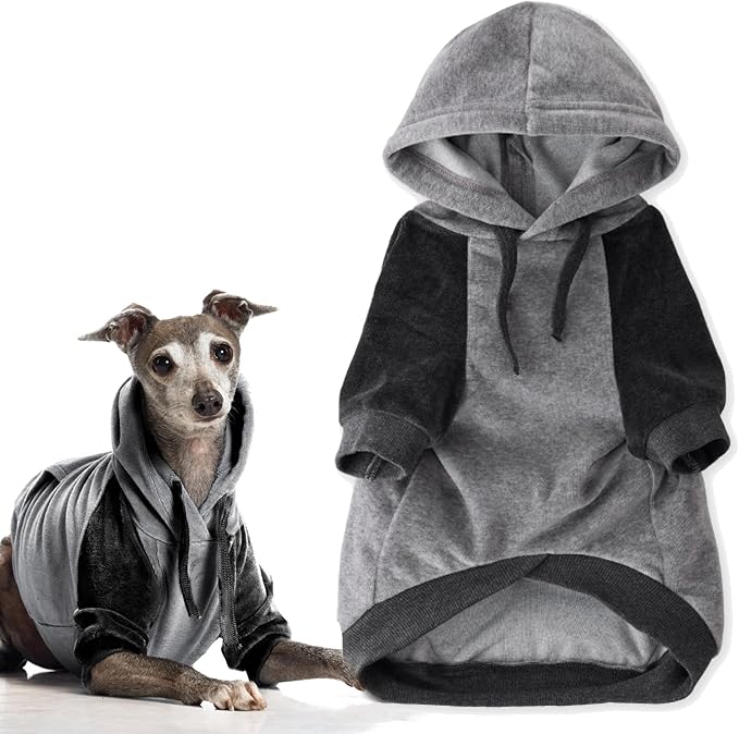 Pet Passion Cooper II Organic Cotton Velour Dog Hoodie Pet Coat for Small, Medium and Large Dogs, Heather Gray Color Block, Large (40-60 lbs)