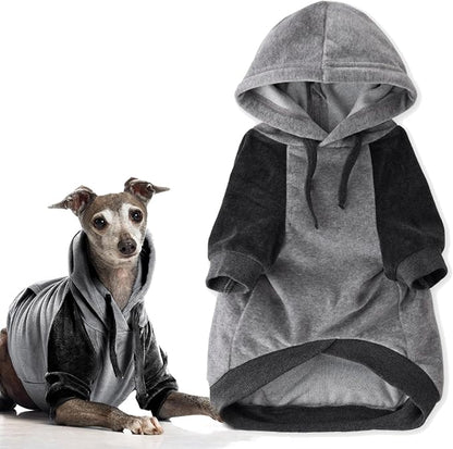 Pet Passion Cooper II Organic Cotton Velour Dog Hoodie Pet Coat for Small, Medium and Large Dogs, Heather Gray Color Block, Large (40-60 lbs)